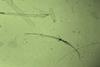 Tiny motor made from crystallized molecules