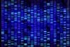 DNA Sequence