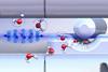 Observation of different reactivities of para and ortho water towards trapped diazenylium ions