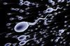 Zinc sparks prevents polyspermy