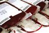 Blood bags