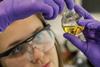 Female scientist holding flask