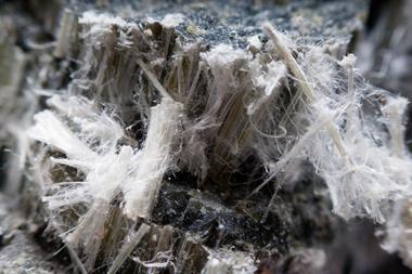 Asbestos chrysotile fibers