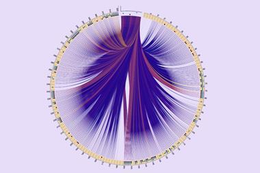 An image showing the substructure search of 320 amine–acid coupling transformations within 9,279 complex molecules from DrugBank