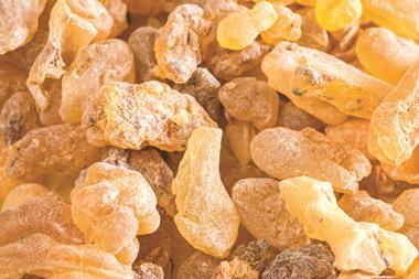 frankincense i stock 42594686 large