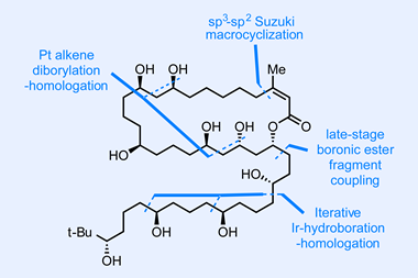 Bastimolide B