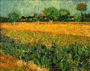 Field with irises near Arles