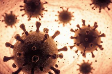 An image showing coronavirus particles