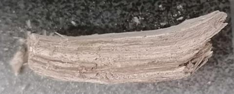 Pompeii reed mat